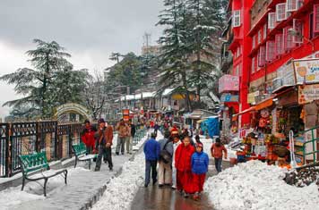 lakkar mandi shimla